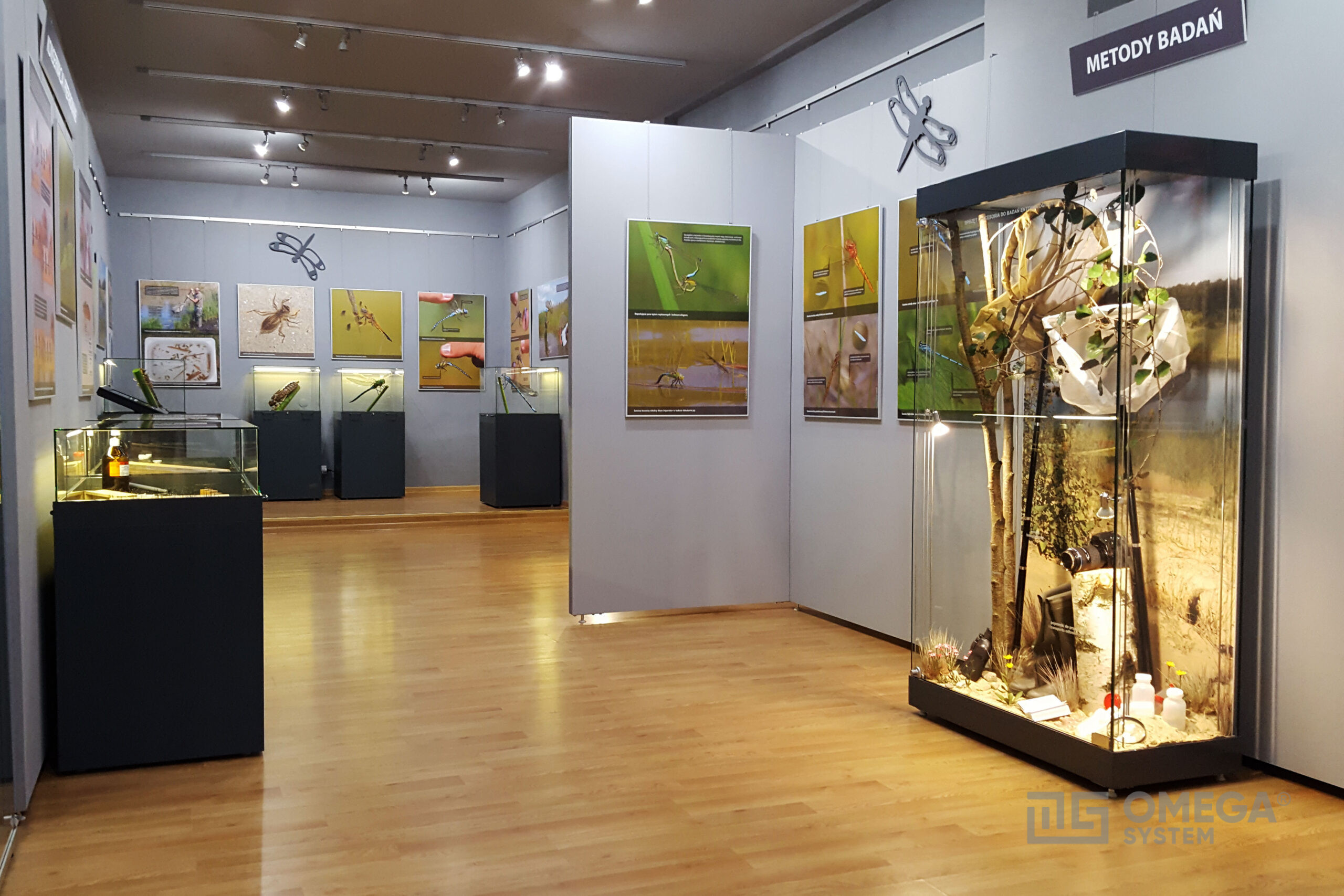 Gabloty ekspozycyjne