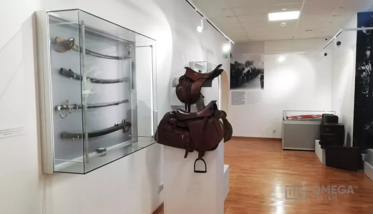 Muzeum Regionalne im. Janusza Petera