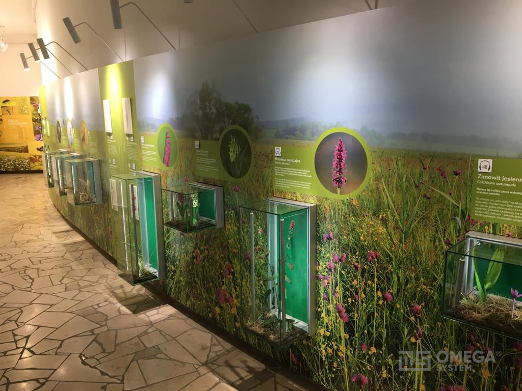 Magurski Park Narodowy