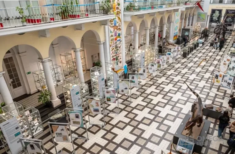 Muzeum Geologiczne, Muzeum Karykatury