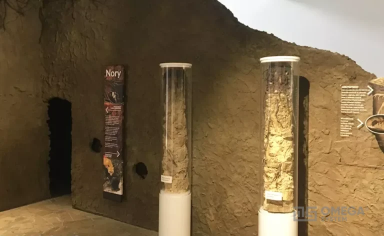 Magurski Park Narodowy