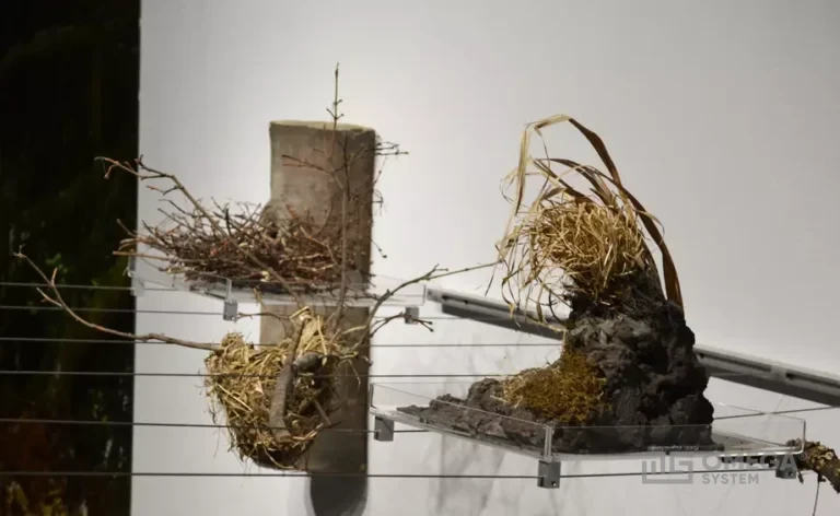 Magurski Park Narodowy